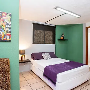 La Paz & Guest house Guadalajara